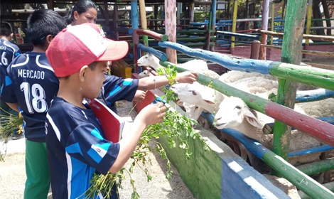 Día de aventura y aprendizaje